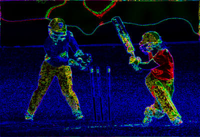 Night Cricket